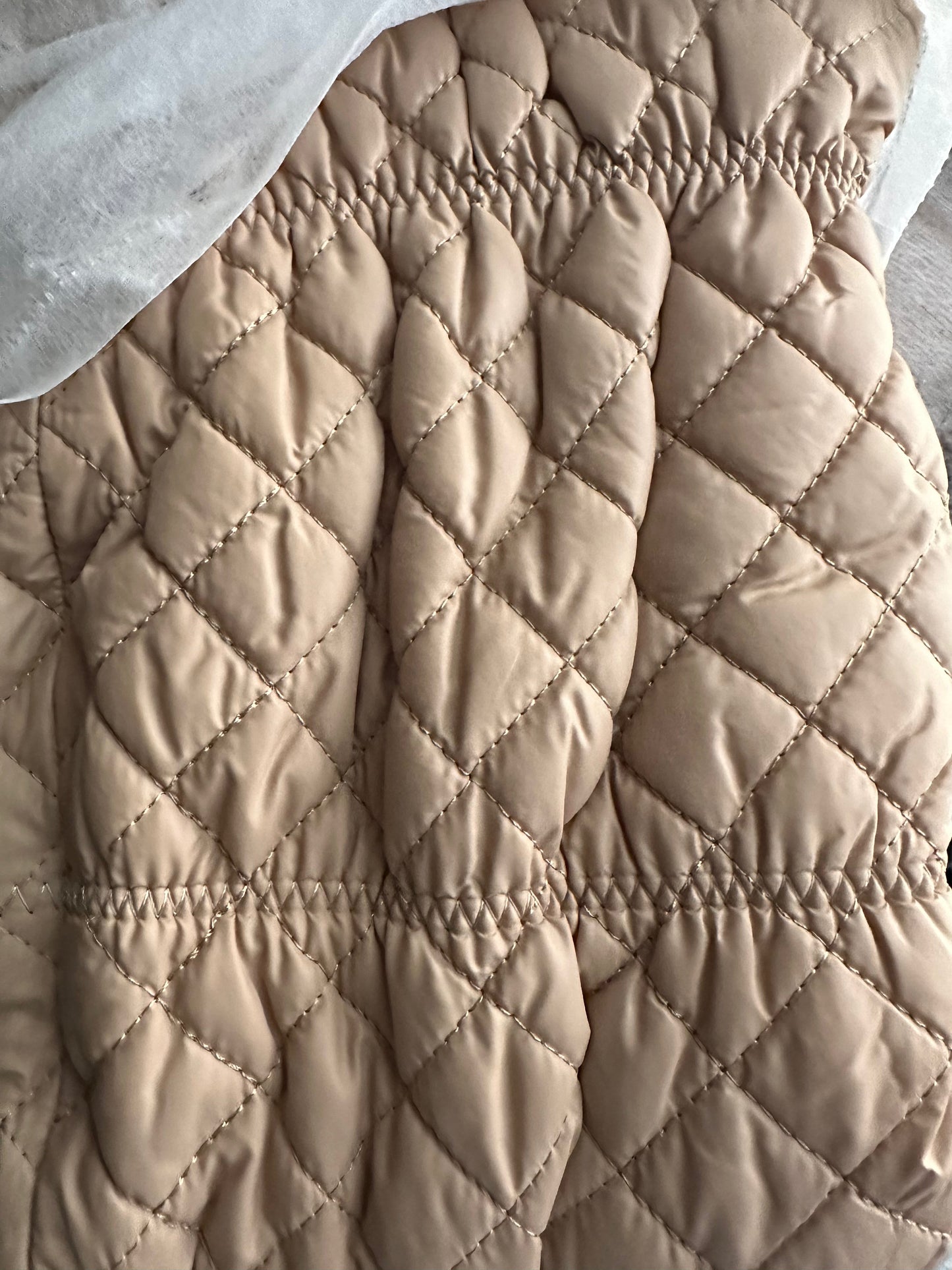 Scandalous-8 {Order 1/2 Size Larger}