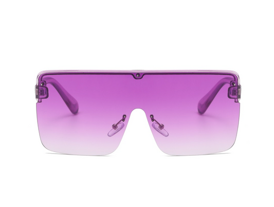 Sunglasses: Style 1581