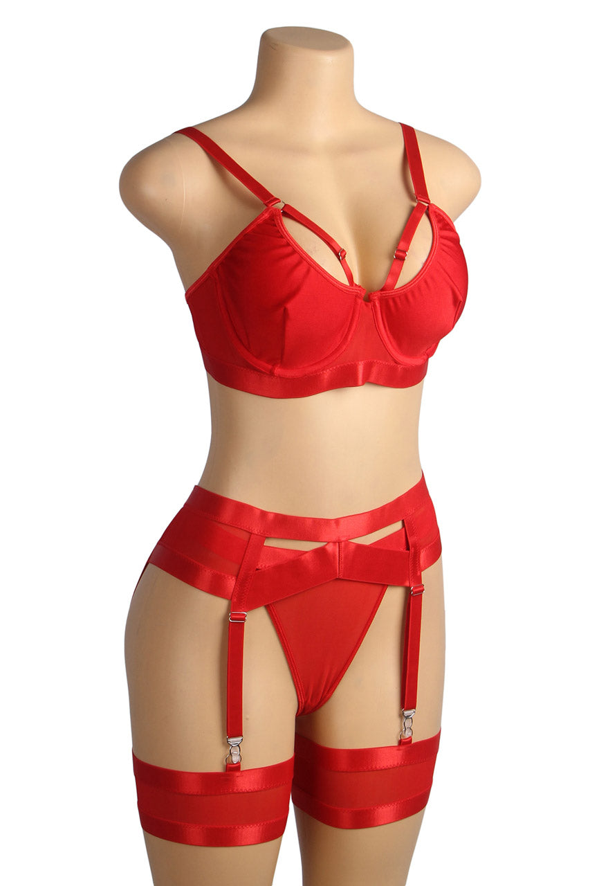 Bondage Bra and Garterbelt Set