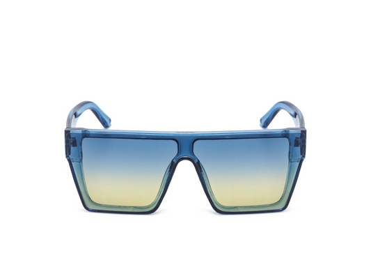 Sunglasses: Style 1662