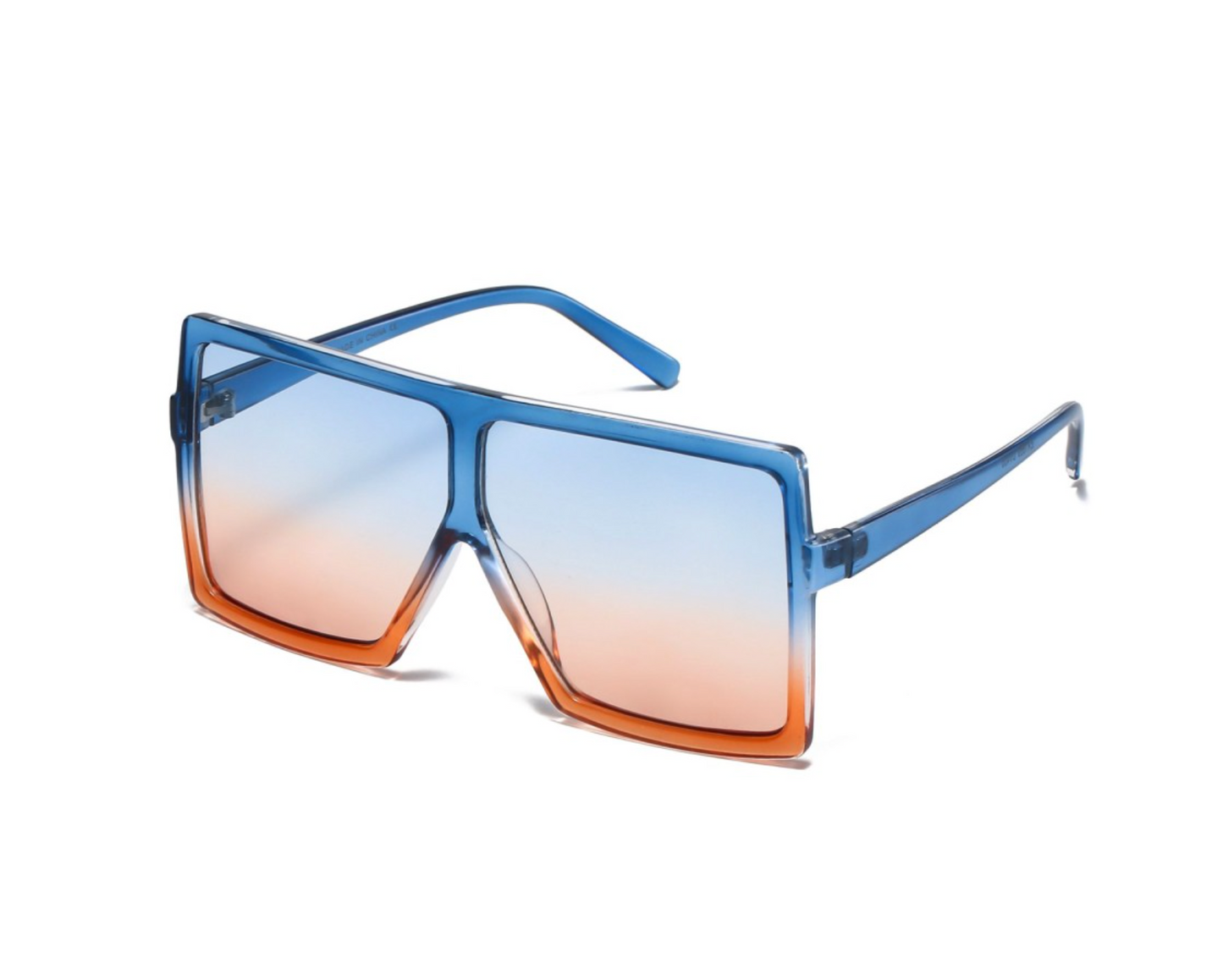 Sunglasses: Style 1669