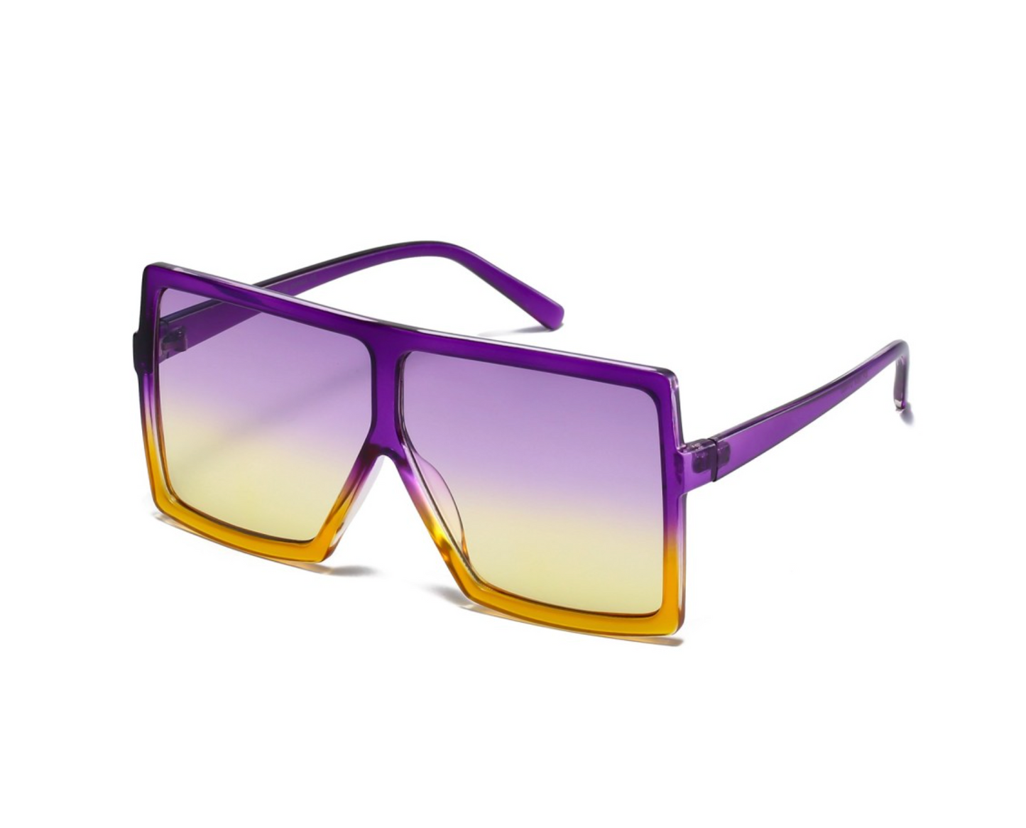 Sunglasses: Style 1669